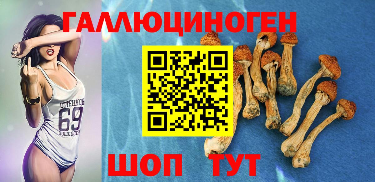 Воркута  Галлюциногенные грибы Psilocybe  Вход с VPN 