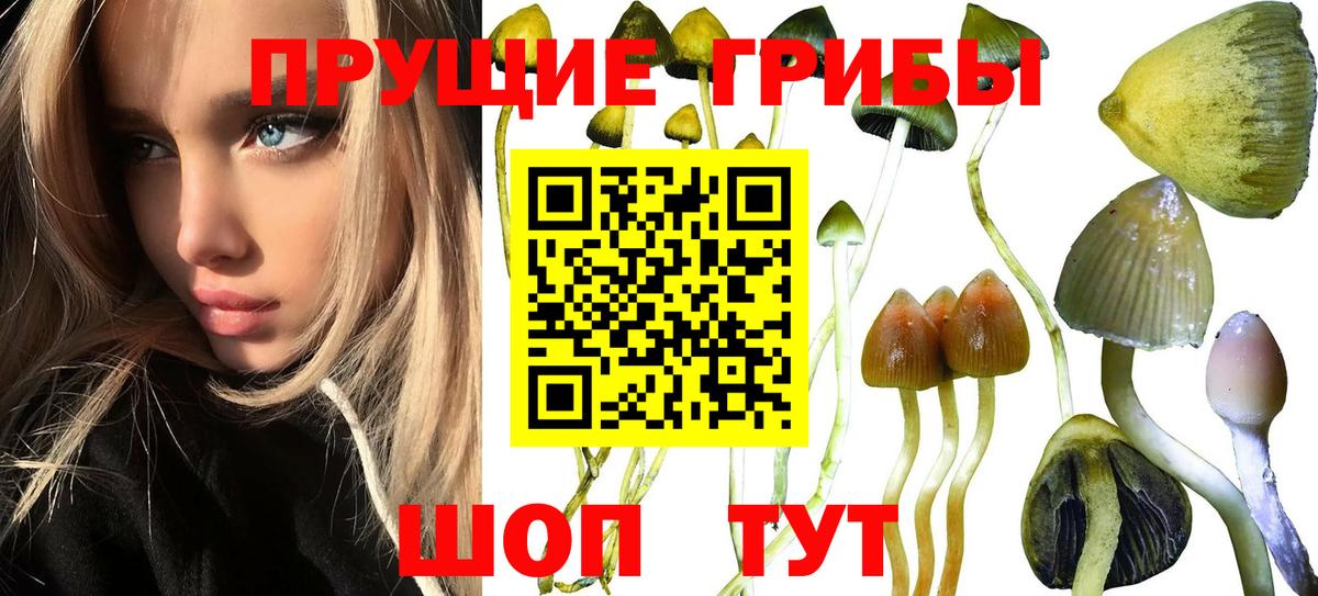 Галлюциногенные грибы мицелий Воркута